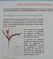 Des noms de botanistes pour des plantes (1a).jpg